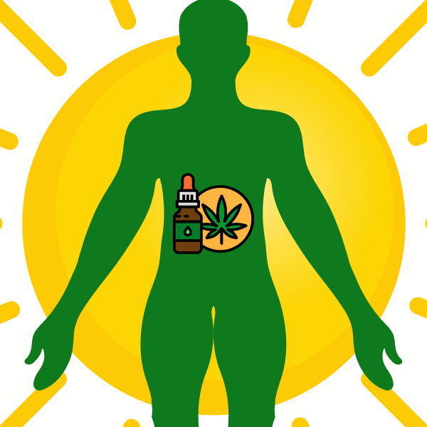 CBD Oil and how it interacts with the body