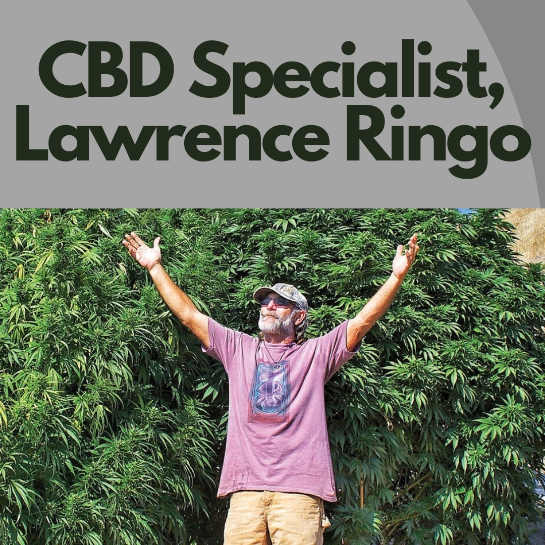  CBD Specialist, Lawrence Ringo in front of hemp plants