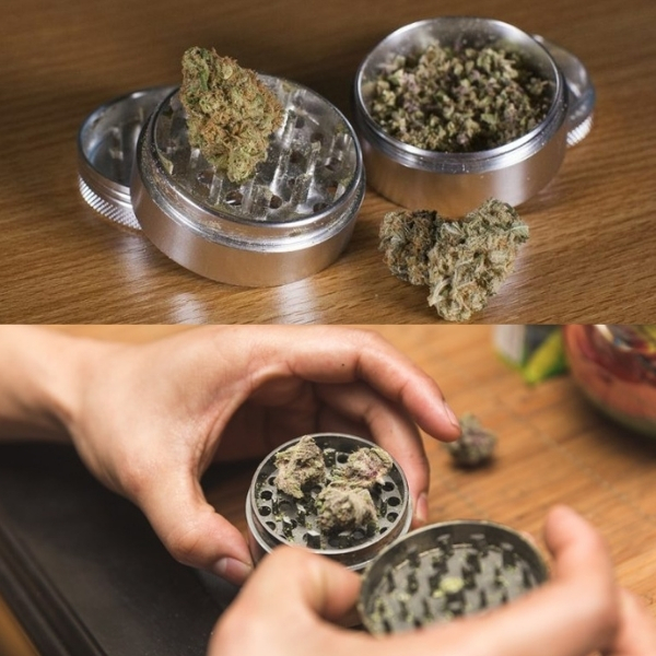 Grinding your dry herb before packing your bowl 